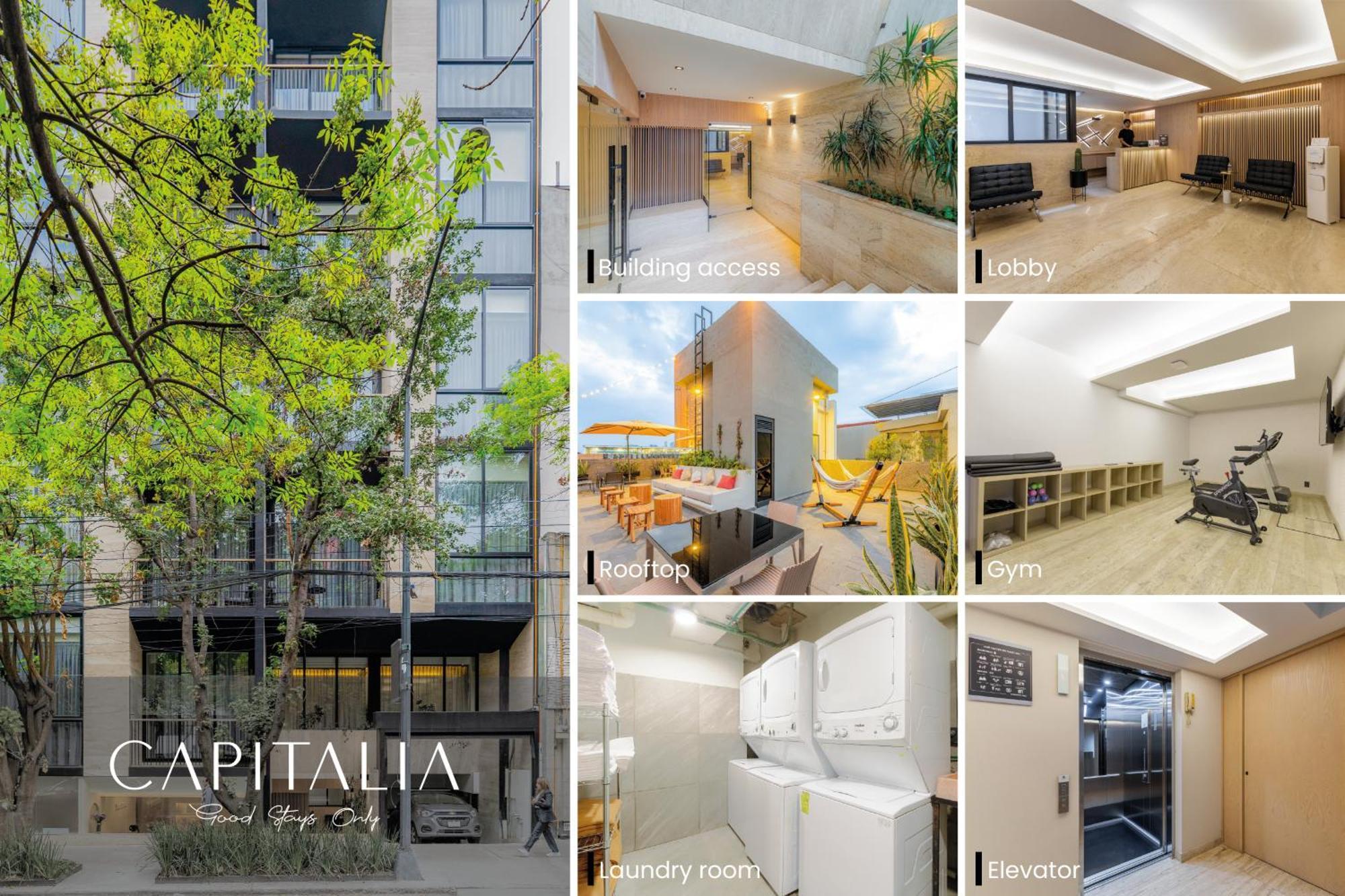 Capitalia - Luxury Apartments - Homero 멕시코 시 외부 사진